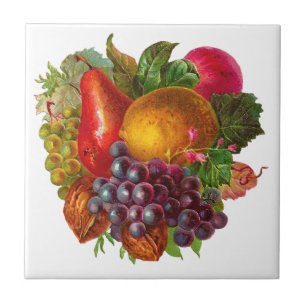 Vintage Pear, Grape, Lemon, Apple, and Walnuts Tile