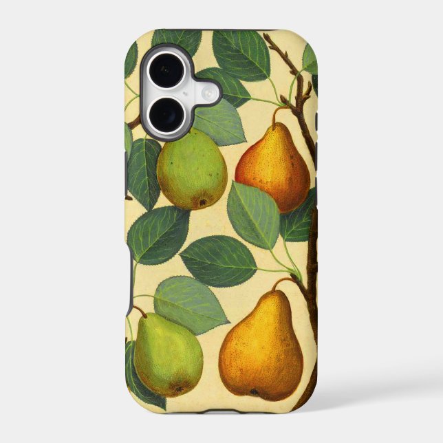 Vintage Pears (Back)