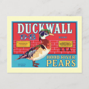 Vintage Pears Food Product Label Postcard