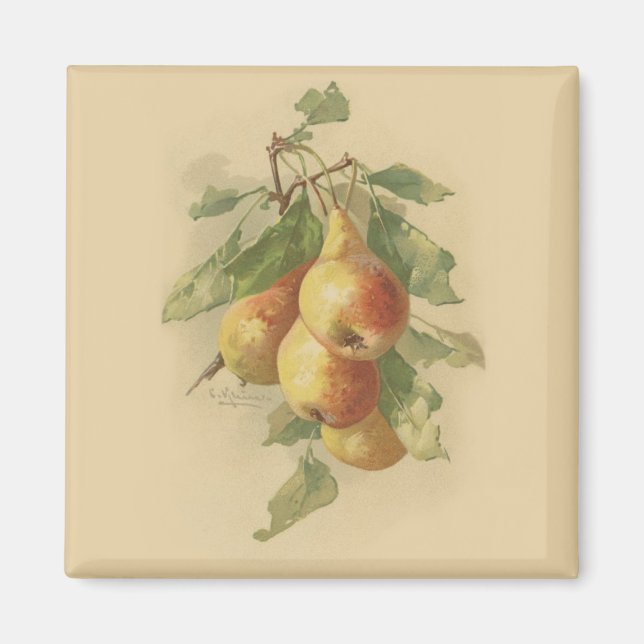 Vintage pears magnet (Front)