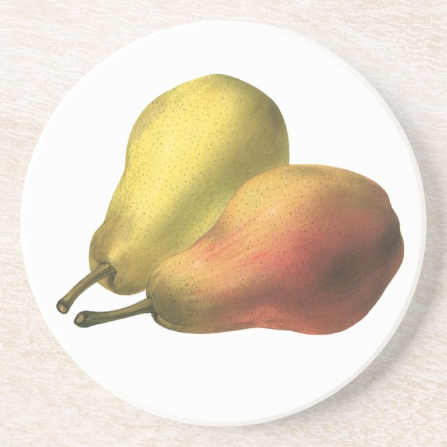 Vintage Pears, Organic Foods, Ripe Fruit Coaster (Front)
