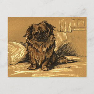 Vintage Pekingeses Postcard