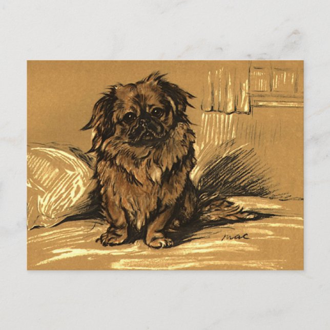 Vintage Pekingeses Postcard (Front)