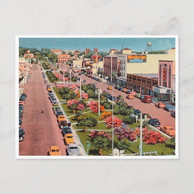 Vintage Pensacola Florida Palafox Street Scene Postcard (Front)