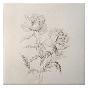 Vintage Peony 2 Botanical Decorative Tile