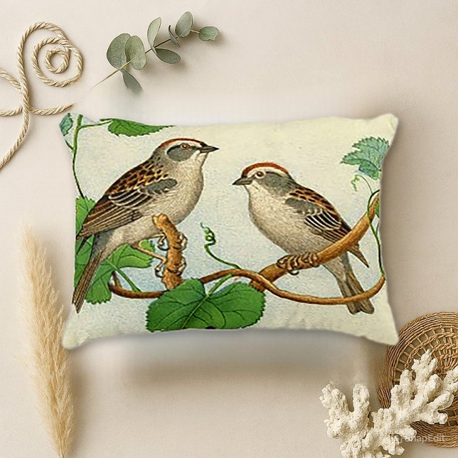 Vintage Perched Birds Decorative Pillow (Creator Uploaded)
