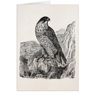Vintage Peregrine Falcon Personalized Retro Birds