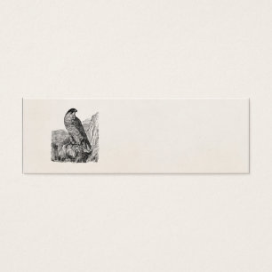 Vintage Peregrine Falcon Personalized Retro Birds