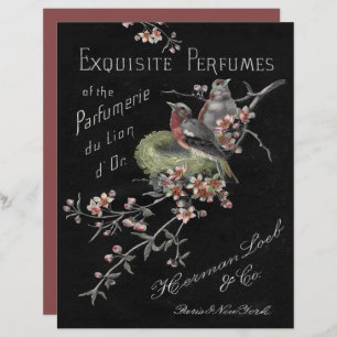 Vintage Perfumes Floral Birds Nest Scrapbook Paper