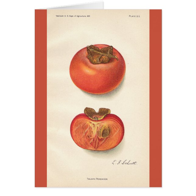 Vintage Persimmon Card (Front)
