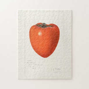 Vintage Persimmon Fruit Watercolor Painting Jigsaw Puzzle