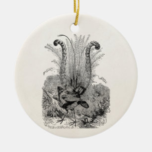Vintage Personalized Bird - Retro Lyrebird Birds Ceramic Ornament
