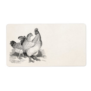 Vintage Personalized Chicken Rooster Cochin Birds