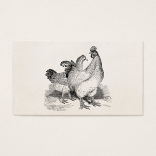 Vintage Personalized Chicken Rooster Cochin Birds