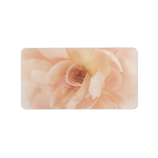 Vintage Personalized Peach Pink Garden Rose Flower