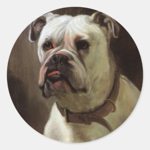 Vintage Pet Animals, Boxer Puppy Dog Portrait Classic Round Sticker