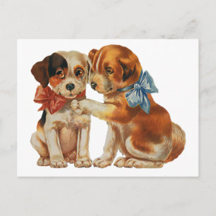 Vintage Pet Animals, Puppy Love Puppies with Bows Postcard