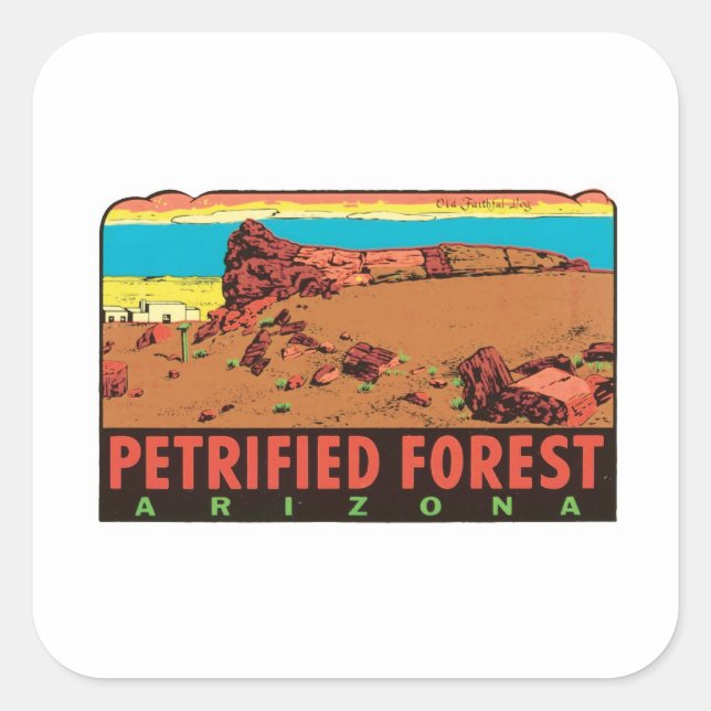 Vintage Petrified Forest Arizona AZ State Label (Front)