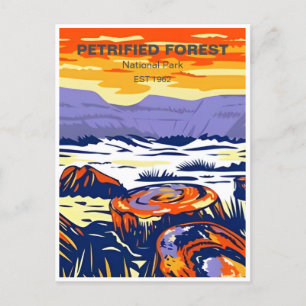 Vintage Petrified Forest National Park Arizona Postcard
