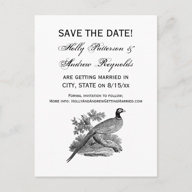 Vintage Pheasant Game Bird Drawing BW Announcement Postcard (Front)