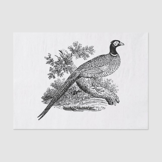 Vintage Pheasant Game Bird Drawing BW Tissue Paper (Front)