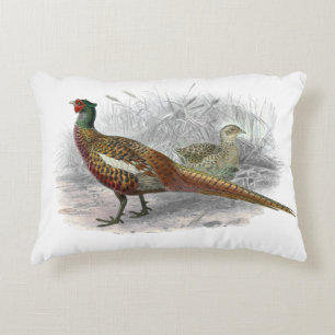 Vintage Pheasant Game Bird Drawing Colour #2 Accent Pillow