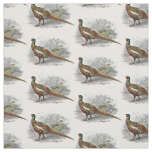 Vintage Pheasant Game Bird Drawing Colour #2 Fabric