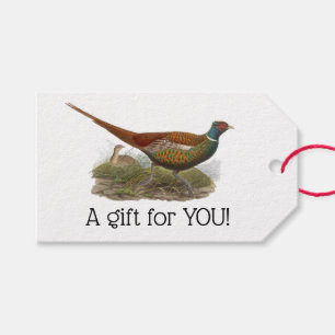 Vintage Pheasant Game Bird Drawing Colour Gift Tags