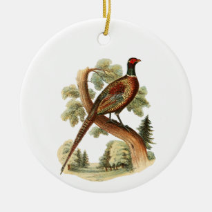 Vintage Pheasant on Branch Game Bird Drawing Colou Ceramic Ornament