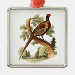 Vintage Pheasant on Branch w/ Trees Drawing Colour Metal Ornament