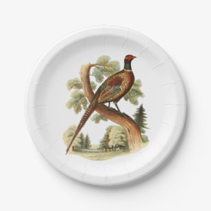 Vintage Pheasant on Branch w/ Trees Drawing Colour Paper Plate