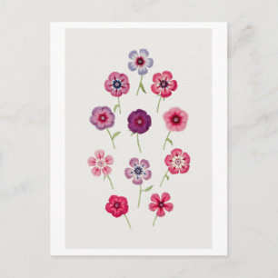 Vintage Phlox Illustration Postcard