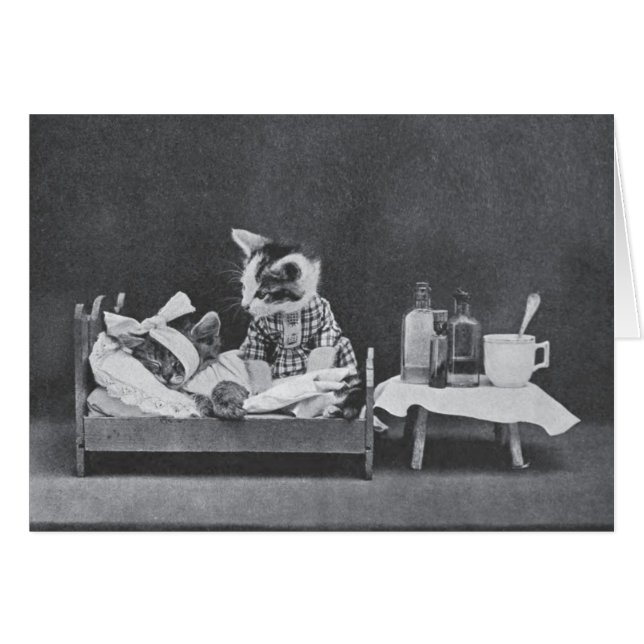 Vintage Photo - Always Blame the Dog, (Front Horizontal)