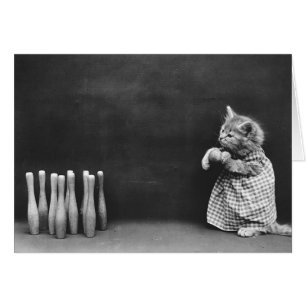 Vintage Photo - Bowling Kitten.