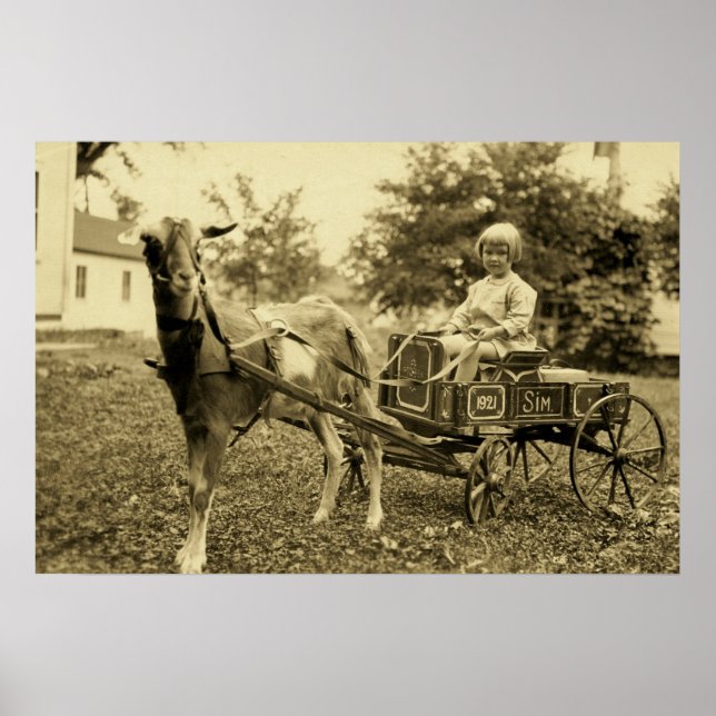 Vintage Photo- "Goat Cart"- Print (Front)