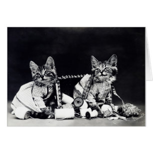 Vintage Photo - Kittens & Sewing Supplies,