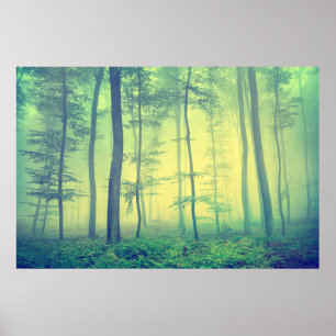 Vintage photo of foggy spring forest. poster