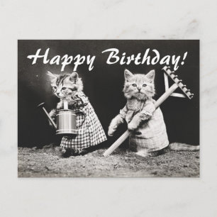 Vintage Photo Two Cats Gardening Postcard