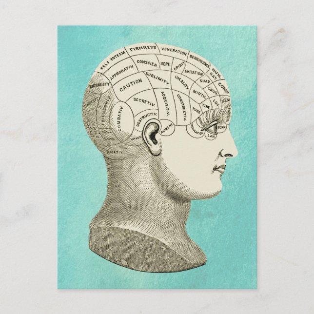 Vintage Phrenology Head Profile Image  Postcard (Front)