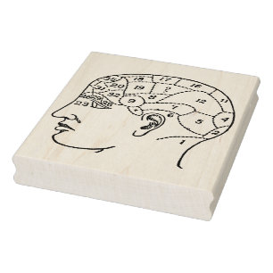 Vintage Phrenology Head Rubber Art Stamp