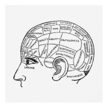 Vintage Phrenology Neurology illustrated