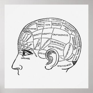 Vintage Phrenology Neurology illustrated Poster
