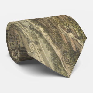 Vintage Pictorial Map of Orizaba Mexico (1869) Tie