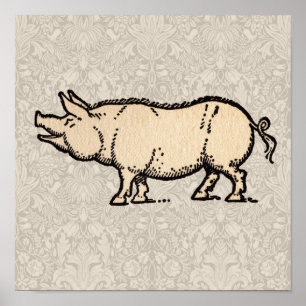 Vintage Pig Antique Piggy Illustration Poster