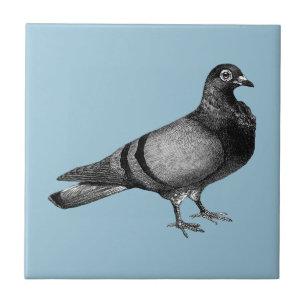 Vintage Pigeon gifts Tile