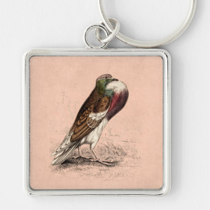 Vintage Pigeon Illustration - 1800's Bird Templat Keychain