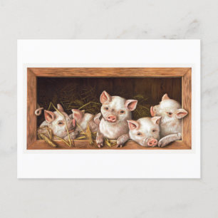 Vintage Piglet Illustration Postcard