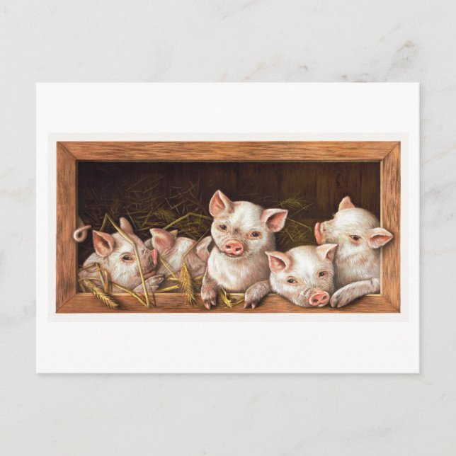 Vintage Piglet Illustration Postcard (Front)