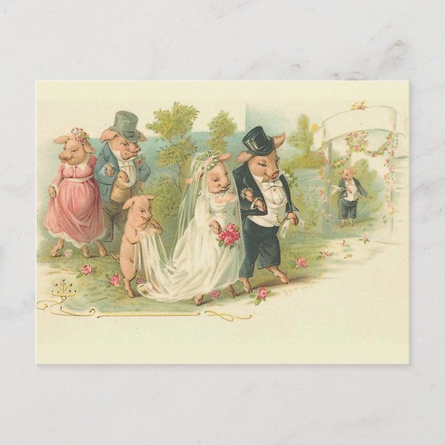 Vintage Pigs Wedding Postcard (Front)