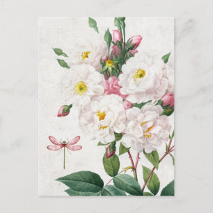 Vintage Pink and White Roses and Dragonfly Postcard